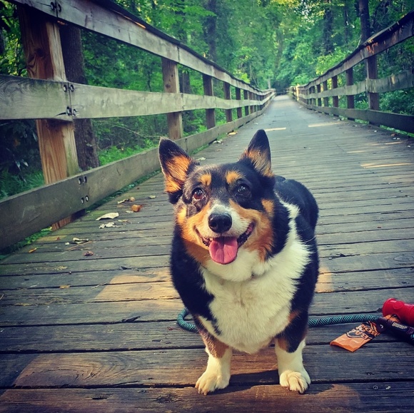 Meet your Posher, Rachel - Picture 1 of 1